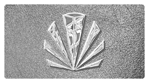 DSC700 602 SL SH SL Silver Sunburst Shimmer Silver Background